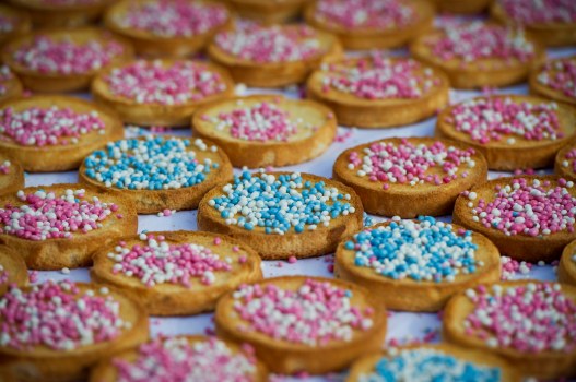 DEN HAAG-WERELDMOEDERS-PETITIE